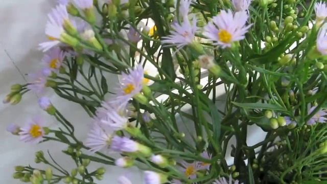 Рабочая неделя флориста FlorAnn)) сбор цветов и немного букетиков смотреть онлайн