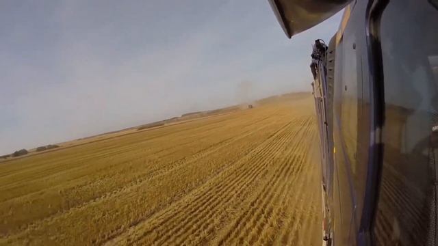 Уборка озимой пшеницы 2017. Ездию на faw g6 смотреть онлайн