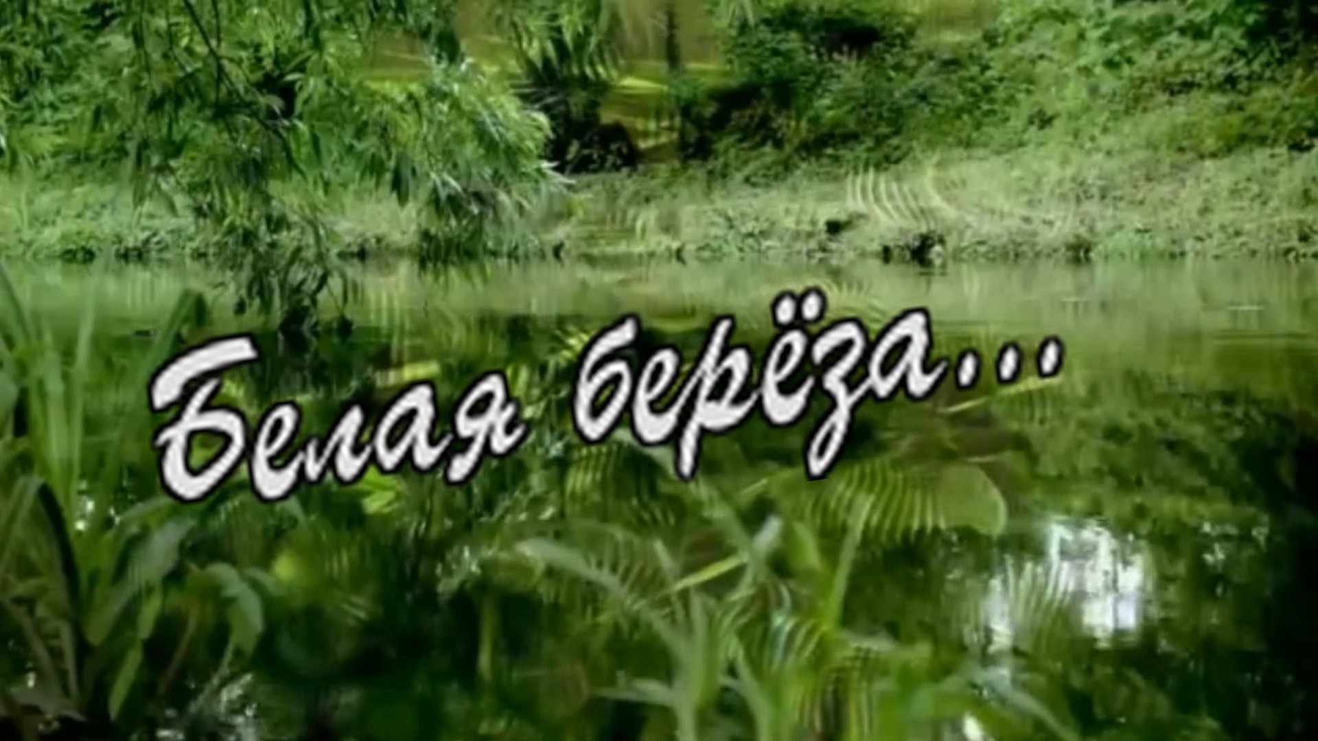 Гр.Курнуц - Белая берёза.mp4 смотреть онлайн