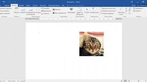 Как в ворде вставить две картинки рядом