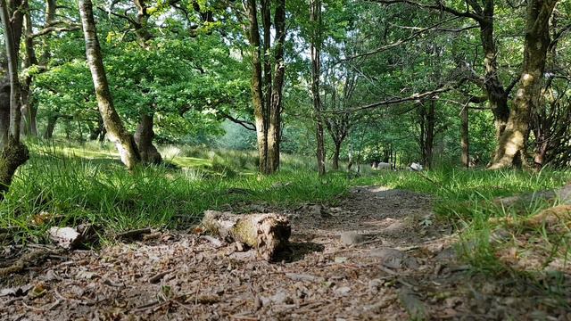 UPGRADED MN-99 2.4G 1/12 4WD RTR Crawler RC Car For Land Rover 70 Anniversary Edition