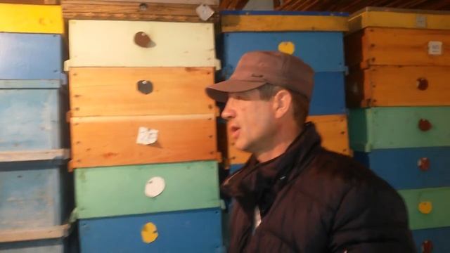 На пасеке у Александра Колесника