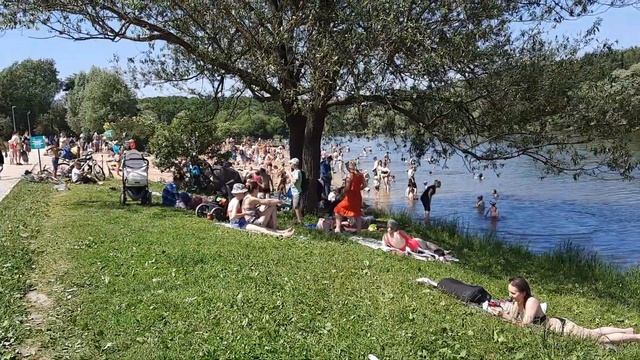 Купальный сезон открылся . Москва . Терлецкие пруды. смотреть онлайн