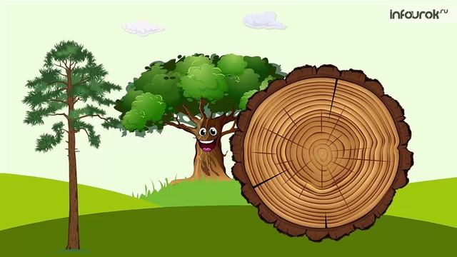 Растения. Части растения смотреть онлайн