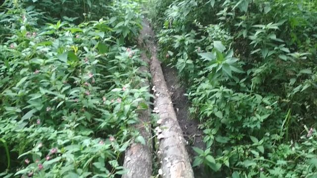 VID_20230820_141810.mp4 смотреть онлайн