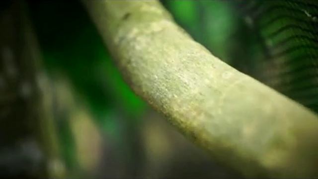 Sony NEX-5N Cinematic Videos смотреть онлайн