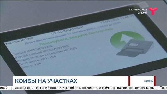 КОИБЫ НА УЧАСТКАХ смотреть онлайн