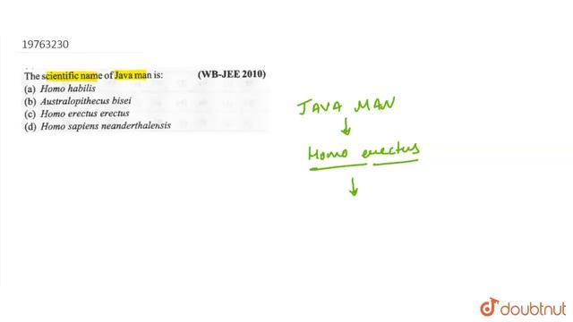 The scientific name of Java man is: смотреть онлайн