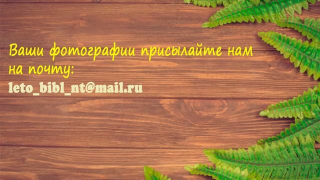 19 июля: С книгой на скамейке. Мастер-класс «Маска инопланетянина»
