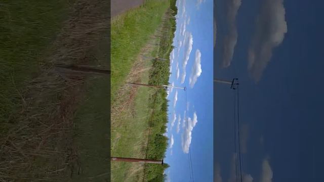 Черусти смотреть онлайн