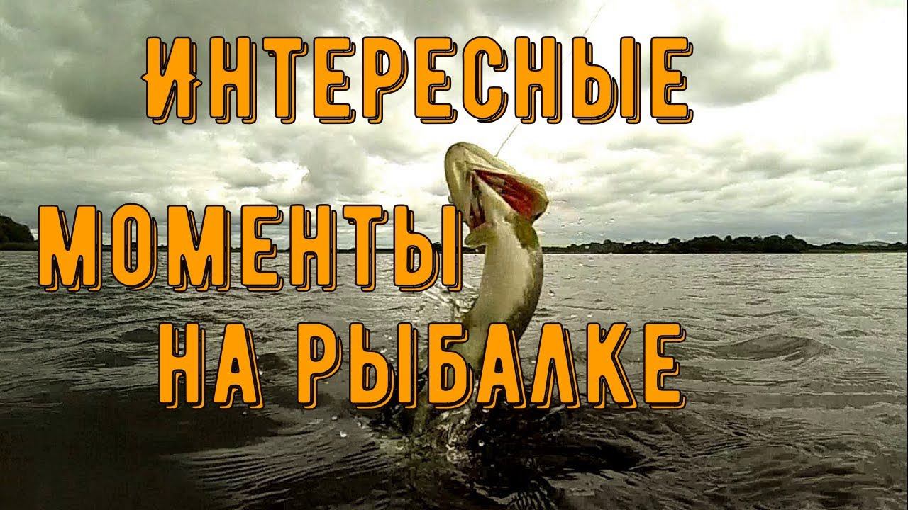 Интересные случаи на рыбалке. смотреть онлайн