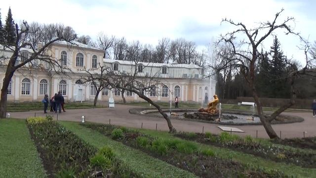 Клумбы весеннего Петергофа смотреть онлайн