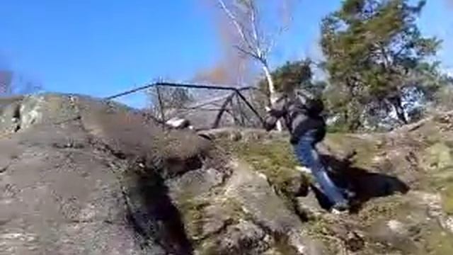 Гусь в зоопарке Хельсинки смотреть онлайн