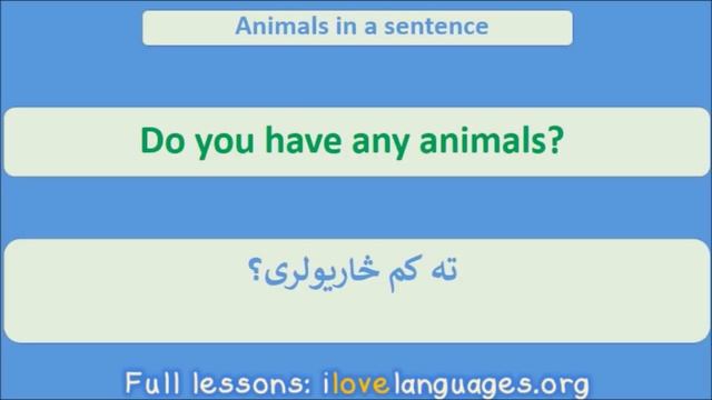 Pashto for Beginners | 500 Popular Words & Phrases смотреть онлайн