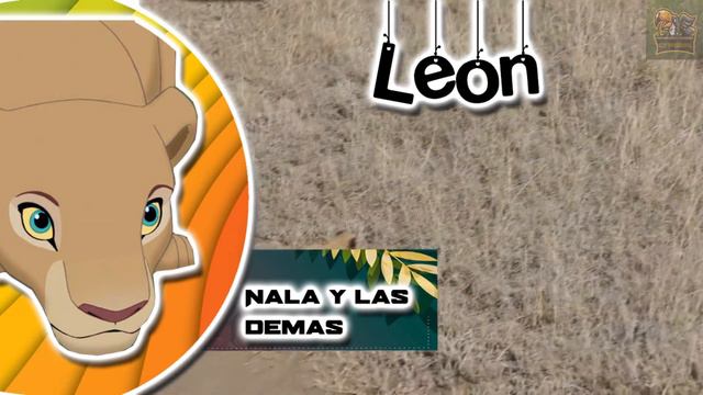 animales vida real : Los animales en el rey león смотреть онлайн