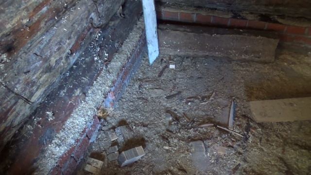 В чем дело ?? почему плесень смотреть онлайн