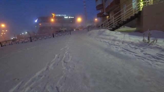 Frosts in Siberia. -50 degrees Celsius. Birds, dogs on the street. Новый Уренгой, мороз Сибирь смотреть онлайн