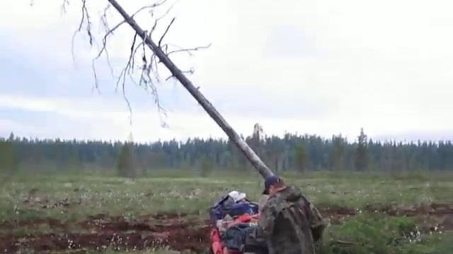 МАХ вытащил Гризла.MOV смотреть онлайн