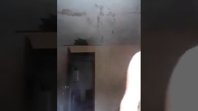 Мои кудрявые волосы