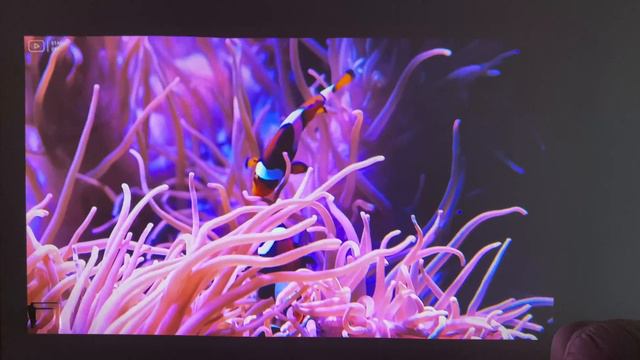 2_5285.MOV