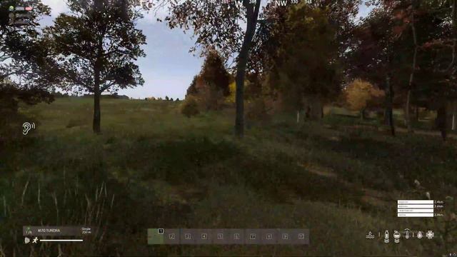 When you IQ play the hunter #dayz #dayzpvp смотреть онлайн