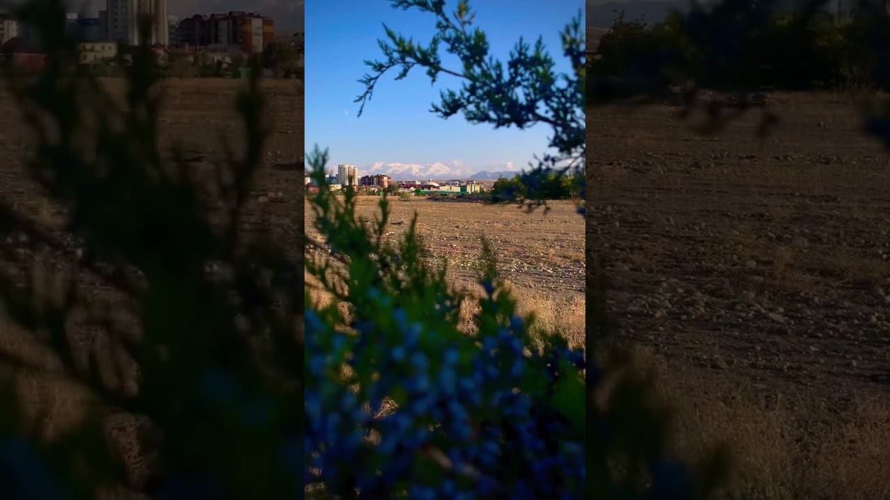 Влюбленный в горы #горы #бишкек #кыргызстан смотреть онлайн