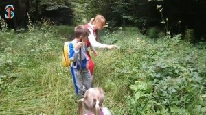 Челлендж 24 часа в ЛЕСУ ??! // Challenge 24 hours in the forest