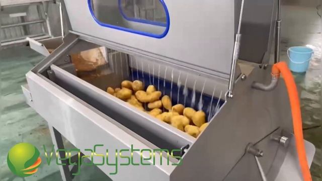 Моечная машина STL 1200 C мойка и очистка корнеплодов смотреть онлайн