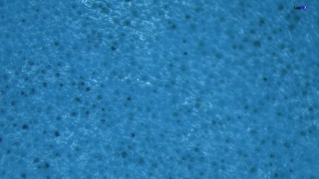 MacBook Pro A1708 Japanese Keyboard Repair - Liquid Spill смотреть онлайн