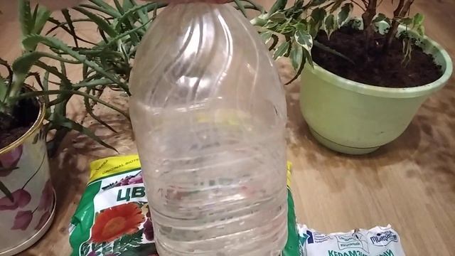 Тли на розах больше не будет если сделать это! смотреть онлайн