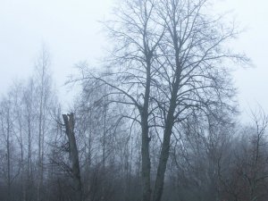 Иеромонах Роман. «Гора Голгофа. Вижу три креста…»