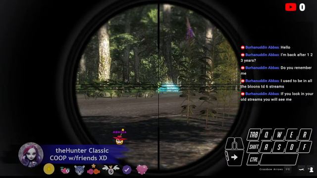 theHunter Classic (almost 1k gm$ :o ) смотреть онлайн