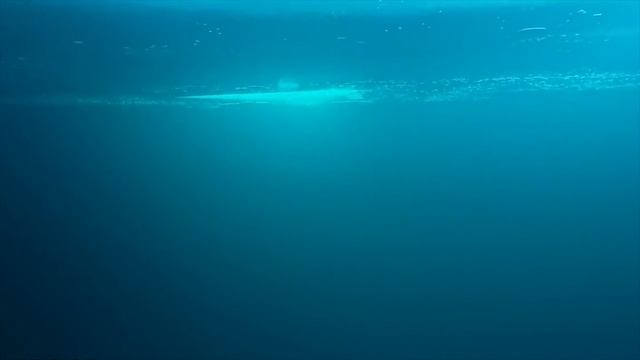 Такое Редко Увидишь! Эти Находки Повезло Снять на Камеру