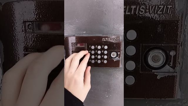 4-й домофон ELTIS-VIZIT(Выдал ошибку ERR06) смотреть онлайн