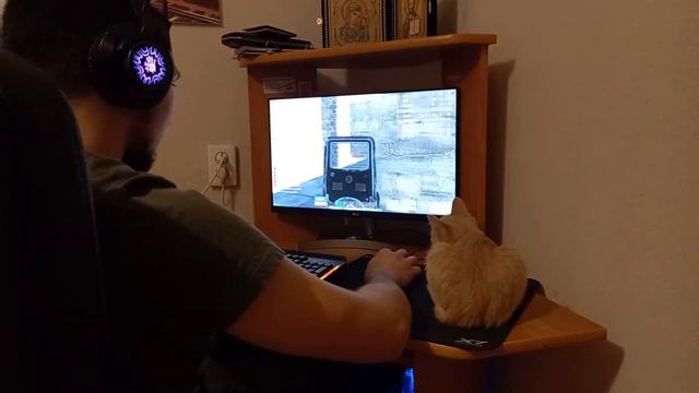 Rust ?! Мой кот играет в Раст)) смотреть онлайн