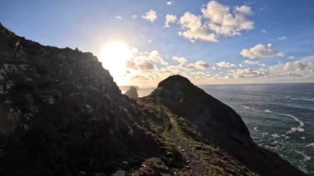 Is Leica worth it? смотреть онлайн