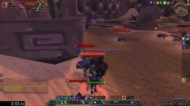 WoW: Ruins of Ahn'Qiraj (Any% Speedrun) смотреть онлайн