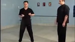 А  Белощин  Вин Чун  04 отработка ударов, тан сао