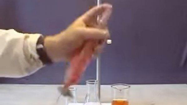 Экстрагирование веществ (часть 1)