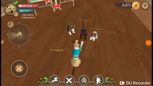 Миу миу котики! смотреть онлайн