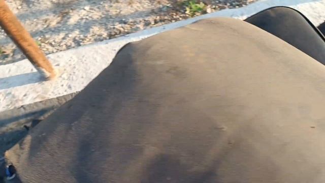 сразу два мотоцикла смотреть онлайн