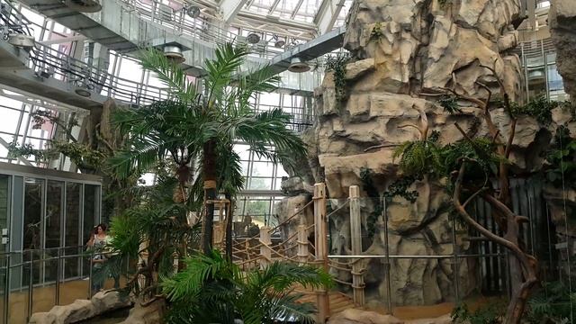 Минский зоопарк Экзотариум 4К смотреть онлайн