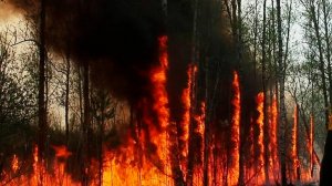 Якутию заволокло густым черным дымом от природных пожаров