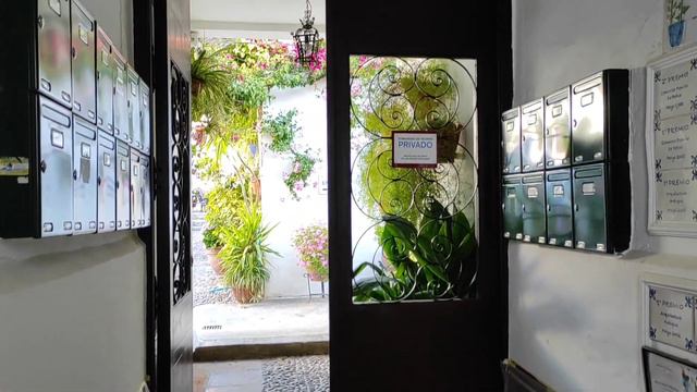 Listo para la Fiesta de los Patios 2021 смотреть онлайн