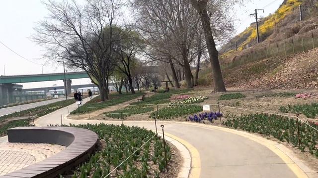 Здесь учились BTS | Мой день в Сеуле | Первый раз в университете Hanyang | Seoul Forest| Корея влог смотреть онлайн