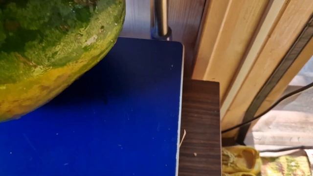 Какой на вкус арбуз "Сибирский мед" смотреть онлайн