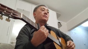 Русское поле на гитаре