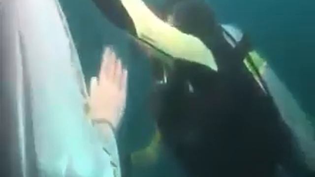 Водолазы нашли статую Богоматери в Индийском океане в поисках черного ящика смотреть онлайн