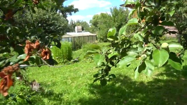 Lost Files!! Family Dacha (Сад на даче) смотреть онлайн