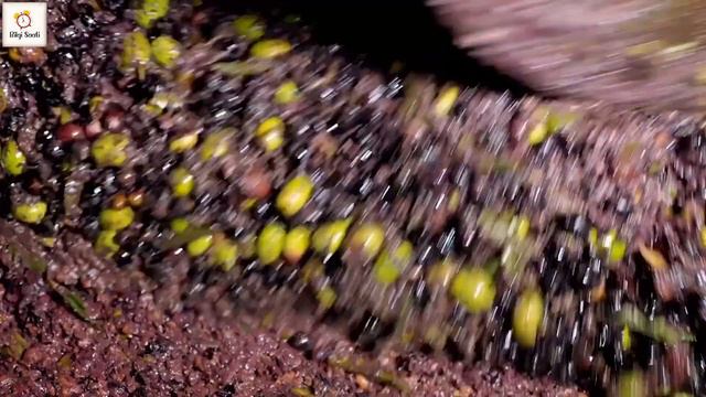 ZEYTİN YAĞININ FAYDALARI / Zeytin Yağının Zararları / Zeytin Yağının Saçlara Faydası смотреть онлайн